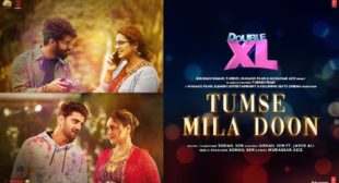 Tumse Mila Doon Lyrics