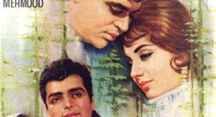 Ae Phoolon Ki Rani Baharon Ki Malika Lyrics – Arzoo