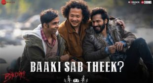 Baaki Sab Theek Lyrics from Bhediya